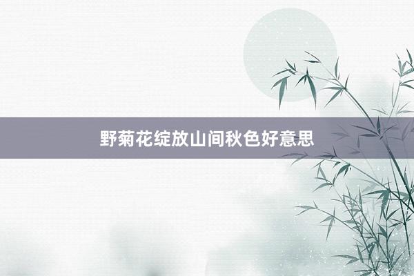野菊花绽放山间秋色好意思