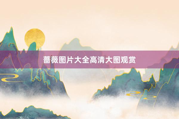 蔷薇图片大全高清大图观赏