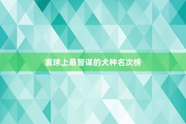 寰球上最智谋的犬种名次榜
