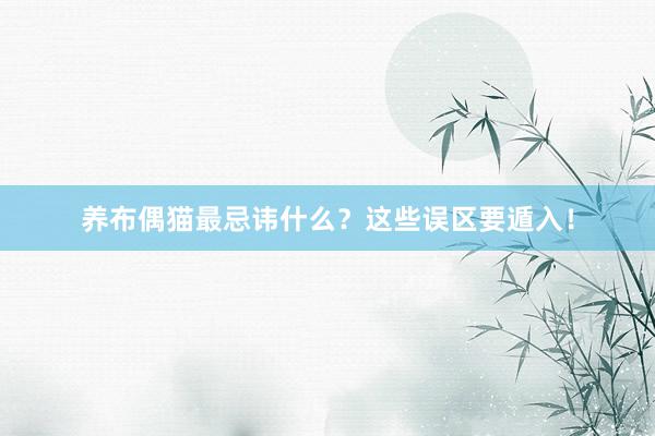 养布偶猫最忌讳什么？这些误区要遁入！