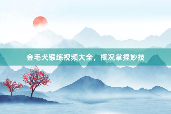 金毛犬锻练视频大全，概况掌捏妙技