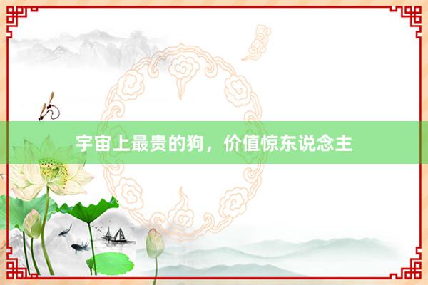 宇宙上最贵的狗，价值惊东说念主